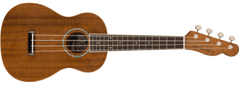 Fender RUMBLE 100