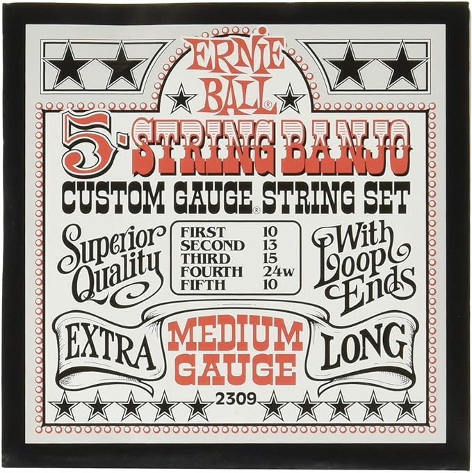 Ernie Ball 5-String Medium Stainless Steel Banjo Strings, 10-10 Gauge (P02309)
