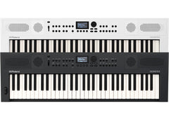 Roland GO:KEYS 5 Keyboard - Graphite