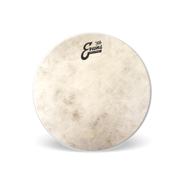 Evans Calftone Drumhead - 12 inch