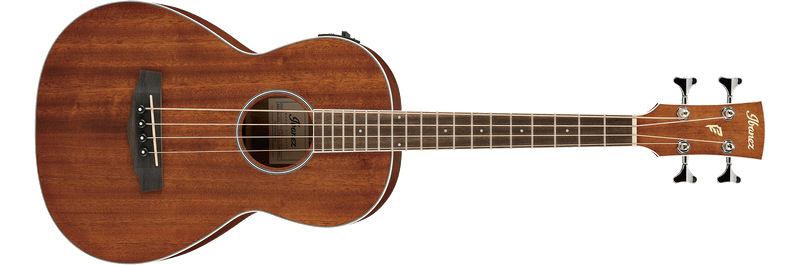 Ibanez PNB14E Acoustic-Electric Bass - Open Pore Natural